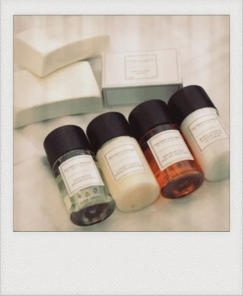 Luxury Guest Room Logo Printing Shampoo Hotel Amenities Appelles Hotel Shampoo